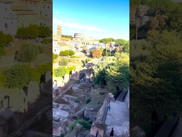 Foro romano y Palatino. ROMA, ITALIA 