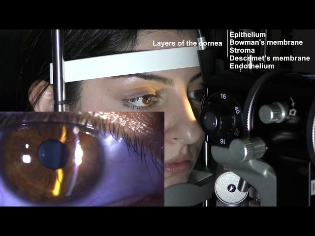 Ophthalmic Skills Series Part 1/5