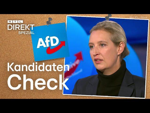 AfD schlecht für die Wirtschaft? Alice Weidel im Kandidatencheck | RTL Direkt Spezial