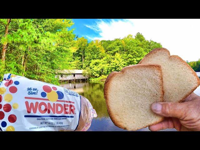 Easy Way To Catch Big Fish From The Bank With Bread!