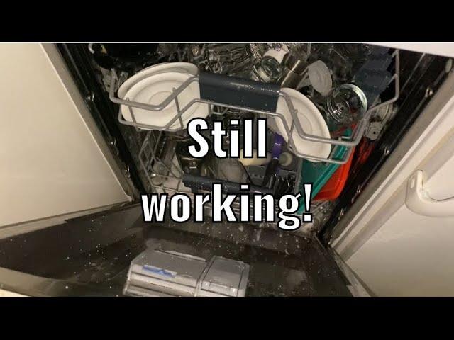 Beko dishwasher in caffe: Start of cycle (3+ years later)