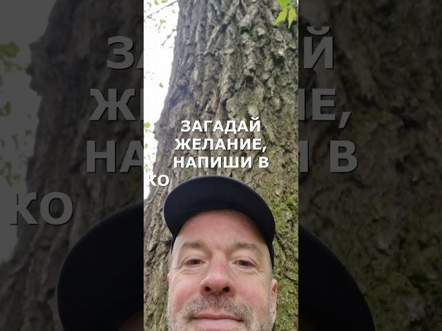#талисман
