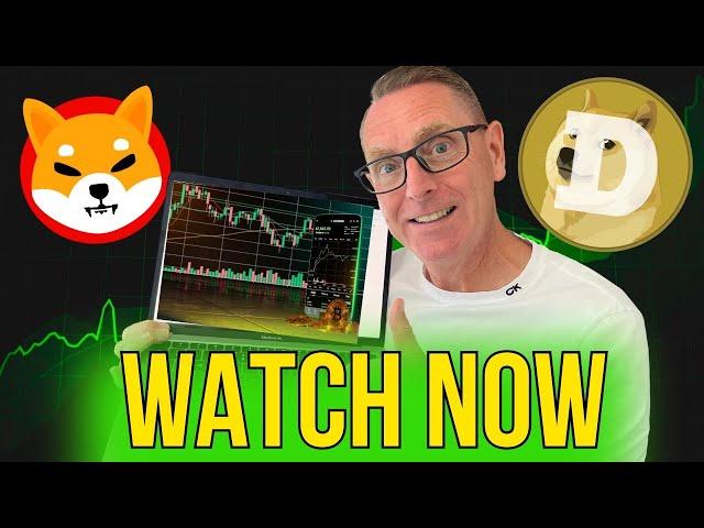 SHIBA INU COIN, DOGECOIN & BONE - Buy Now or Wait?
