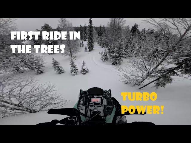 2024 Ski-Doo Freeride 146" TurboR