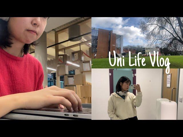 [Uni vlog] Life at the University of Sussex, in Brighton UK 