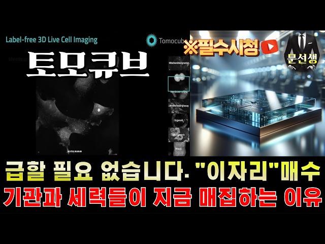 토모큐브 주가전망 - 유리기판 호재는 "이날" 나옵니다. 그 일정에 맞게 세력과 기관들도 매집 중 그리고 26년에는 지금 가격에서 매수하지 못합니다.이유는 #토모큐브주식 #문선생