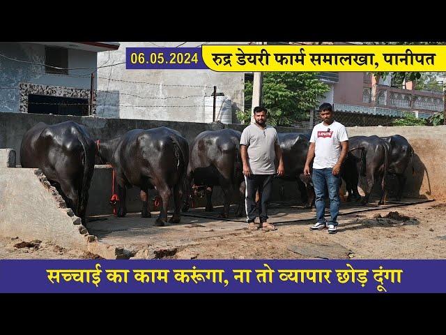 सच्चाई का काम करूंगा, ना तो व्यापार छोड़ दूंगा || RUDHER DAIRY FARM SAMALKHA, PANIPAT