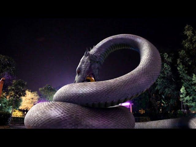 The giant snake entered the city and saved the girl who was abducted by human traffickers!