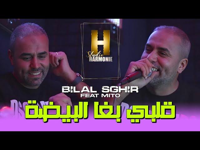 Bilal Sghir 2024 Galbi Bgha El Bayda (100%live)ڨلبي بغى البيضاء