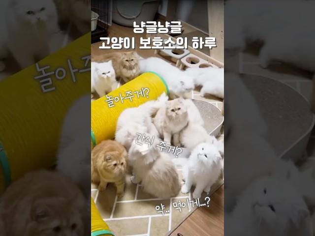 칼군무 쩌럿다,,,