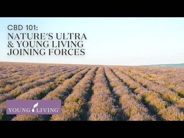 CBD 101: Nature’s Ultra & Young Living Joining Forces | Young Living Essential Oils