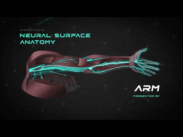 Intro to Neural Surface Anatomy - Locating and Treating Nerves for Neuropathy and Chronic Pain