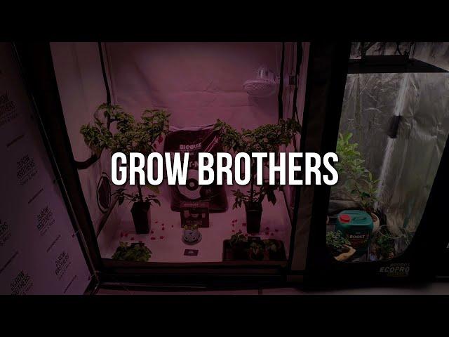 Выставка СитиФермер 2021 | Grow Brothers | Трейлер