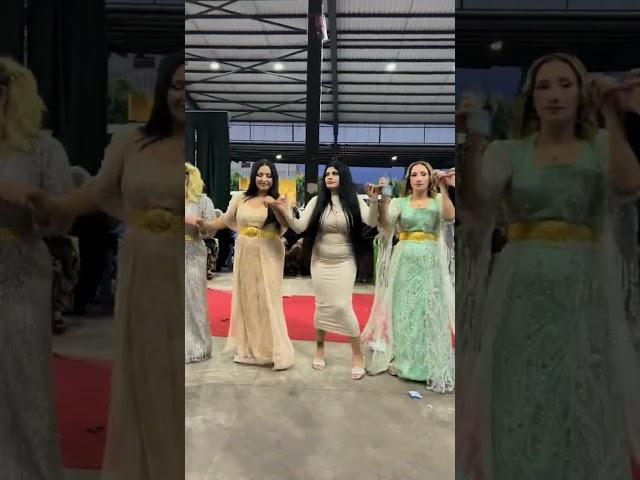 Kurdish Dance Kurdish Culture Kurdish Folklore #shorts #shortvideo #youtubeshorts #trending