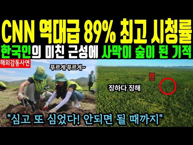 [해외감동사연] 한국인들이 미친 노력으로 사막을 숲으로 만든 이유는? - 메마른 사막을 울창하게 만든 K-산림기술