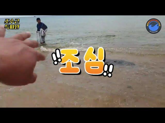 **한투라**민물과 바다물이 만나면 벌어지는 일 #바다투망 #castnetfishing