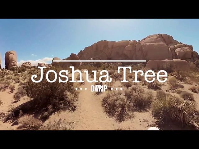 Joshua Tree | One Day Itinerary | Rylo 360 Camera