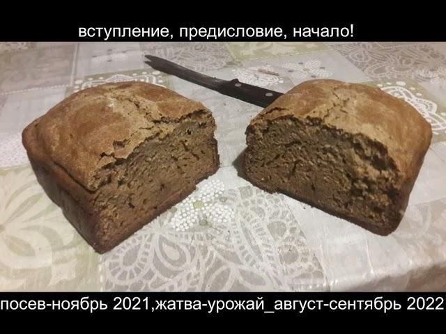 Сею, вею, взращиваю, пожинаю, перемалываю и пеку свой натуральный полезный беЗдрожжевой ХЛЕБ!