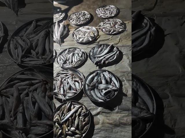 #fishmarket #fish #riverfish #murshidabad #lalgola #indianfood #shorts #shortvideo #ytshorts