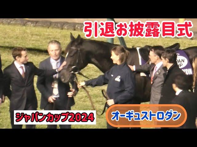 【ジャパンカップ2024】相棒ムーア騎手のなでなでにうっとりするオーギュストロダン️