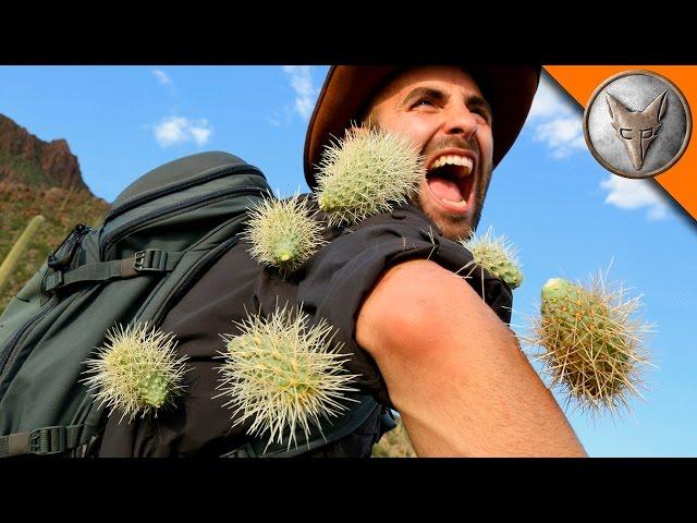 EXTREME Cactus Attack!