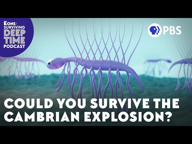 Could You Survive The Cambrian Explosion?