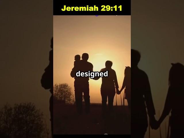 Bible verse of the day (God’s Perfect Plan in the Waiting) #dailyverse #bibleverseoftheday