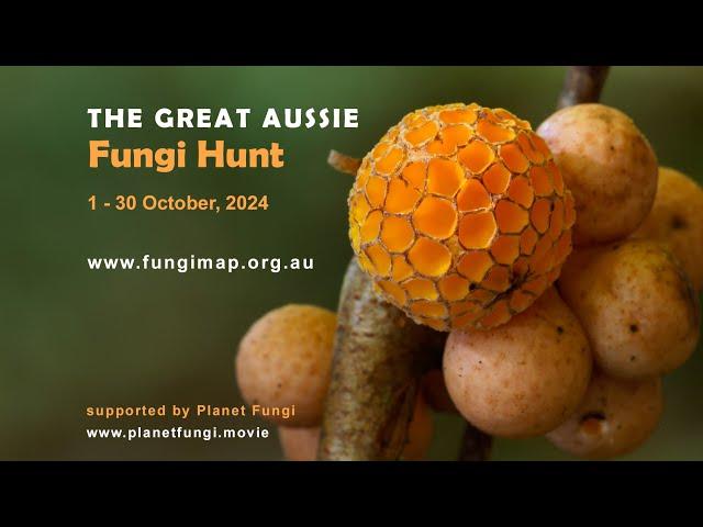 Great Aussie Fungi Hunt 2024 - 1-30 October