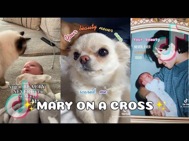 YOUR BEAUTY NEVER, EVER SCARED ME (Mary on a Cross) - TIKTOK COMPILATION