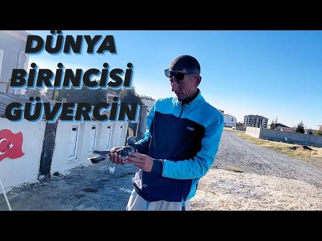 DÜNYA BİRİNCİSİ GÜVERCİN - BASRİ KÜÇÜKÖNAL KÜMES ZİYARETİ