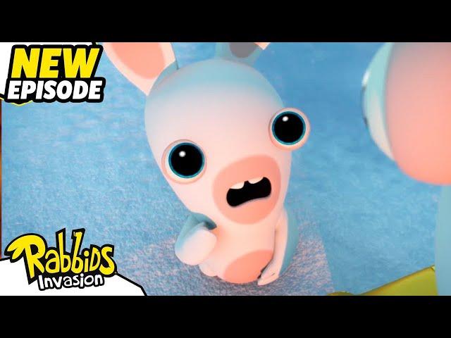 The Rabbid Quest (S04E47) | RABBIDS INVASION | New episode | Cartoon for Kids