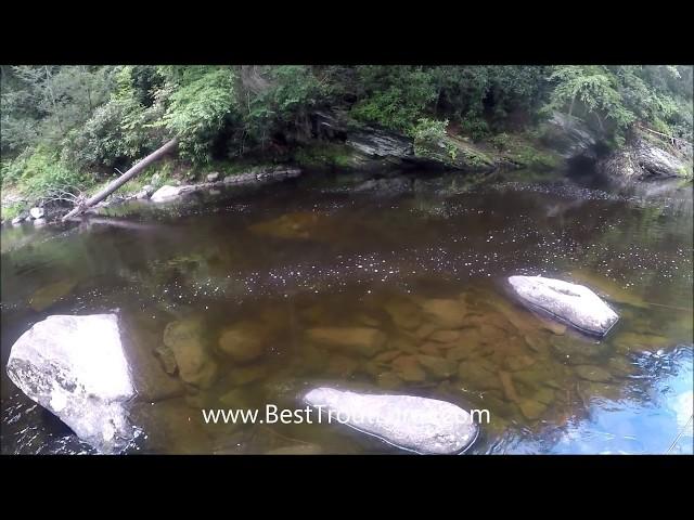 How to Work a  Good Fishing Spot - 20" Brown Trout on Rapala CD7