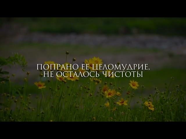 НАШИД. О Отец, неужели сегодняшние женщины не способны родить подобного УМАРУ?   Nashid