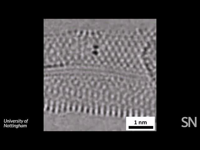 Watch chemical bonds forming and breaking in a molecule | Science News