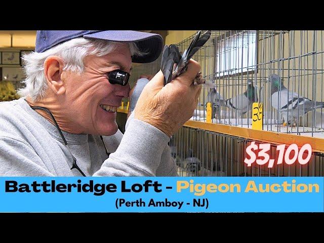 The Most Expensive Pigeon Auction in NJ!