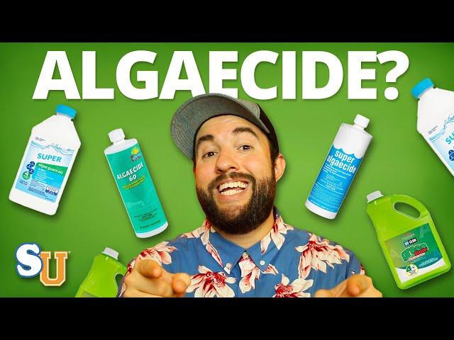 The TRUTH About Using ALGAECIDE In Your POOL