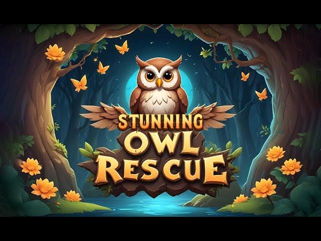 G4K Stunning Owl Rescue Game Walkthrough