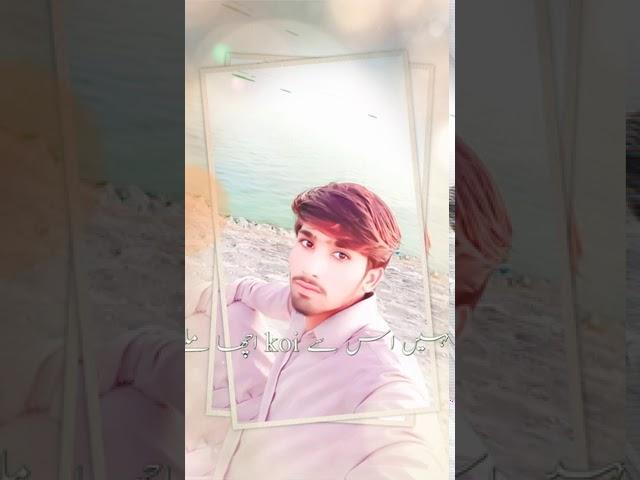 Shahid ss