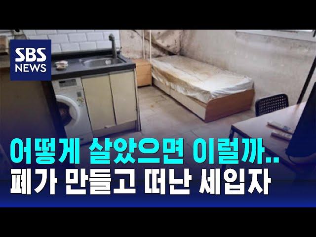 곳곳 곰팡이에 벌레알까지…'폐가' 만들고 떠난 세입자 / SBS / 오클릭