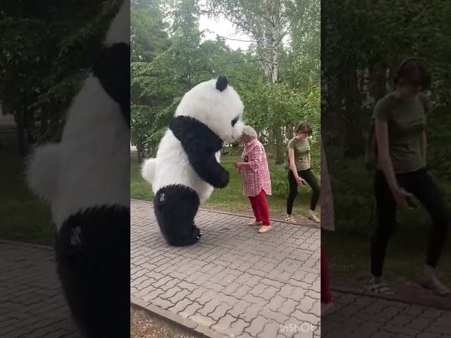 Мишка любит обнимашки 