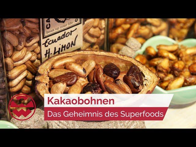 Kakaobohnen: Das Geheimnis des Superfoods - GenussMomente | Welt der Wunder