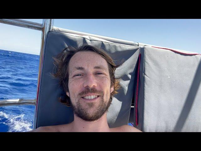 Loving the life at sea | Solo Atlantic crossing | Daily vlog #21