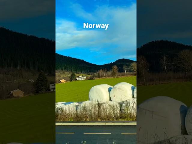 Explore Norway  #norwaytourism #travelvlog #visitnorway #norway #nature