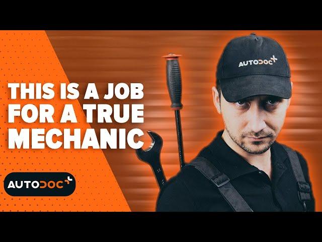 This is a job for a real mechanic ️ #autodoc #lifehack