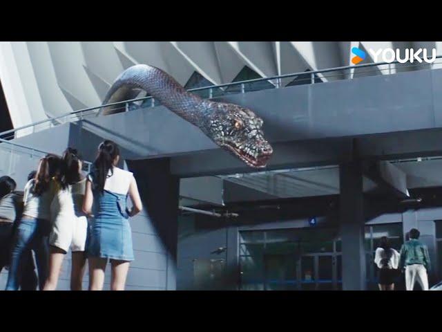 Man betrays beauty to snake for survival! | Rising Boas in a Girl's School | YOUKU MONSTER MOVIE