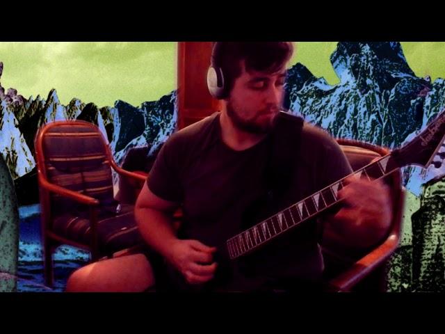 Dim Mak - Seeing Crows In Silver guitar cover