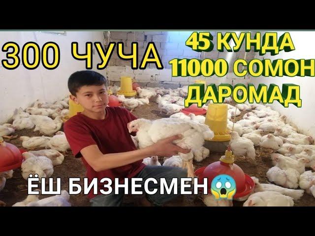 15 ЁШЛИ БИЗНЕСМЕН ТОВУК БОКИШ ТЕЗ ВА ОСОН ДАРОМАД КИЛИШ