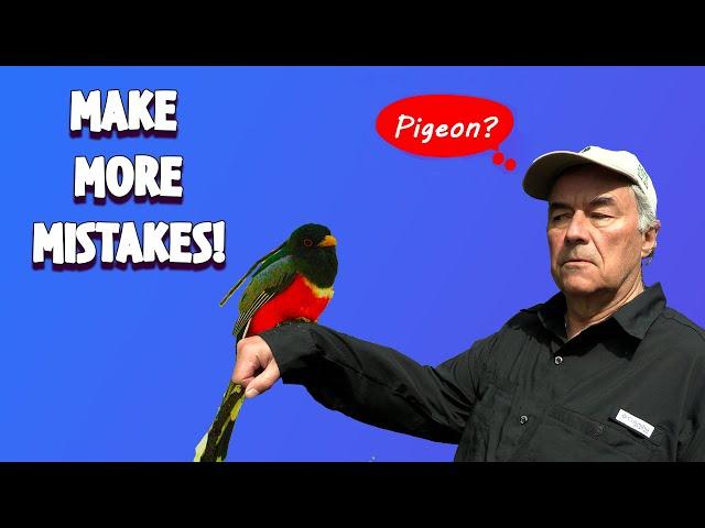 Identify birds by making more mistakes.