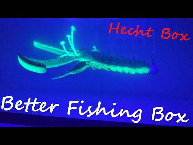 Große Dinge in der Hecht Box von Better Fishing Unboxing Wassertest