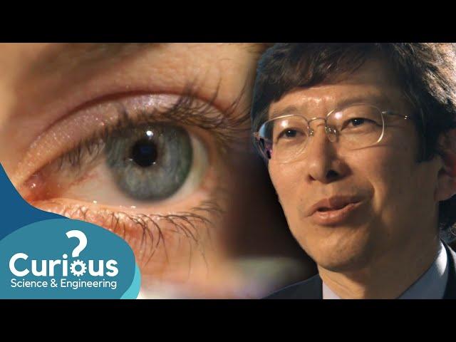 Science Made Fun Through Wacky Experiments! | Mega Marathon | Curious?: Science and Engineering